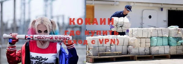 индика Алексеевка