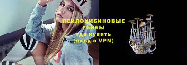 индика Алексеевка