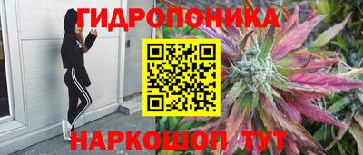 ECSTASY Шебекино