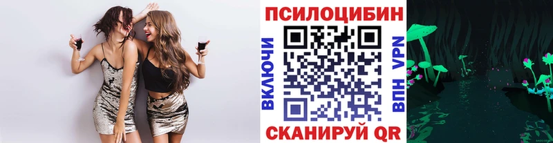 как найти закладки  Лобня  Галлюциногенные грибы Psilocybine cubensis 