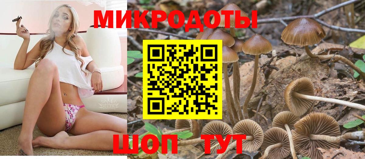 Псилоцибиновые грибы Magic Shrooms Лобня