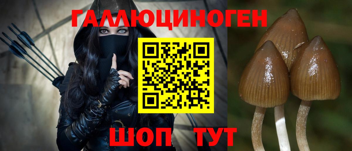 Лобня  Галлюциногенные грибы ЛСД  Галлюциногенные грибы Psilocybe  хочу   Вход с VPN 